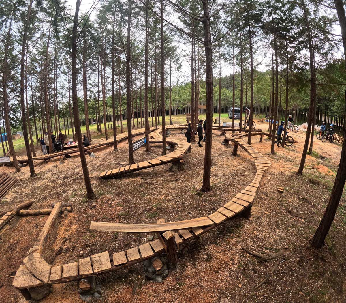 ノースショアのテクニカル区間