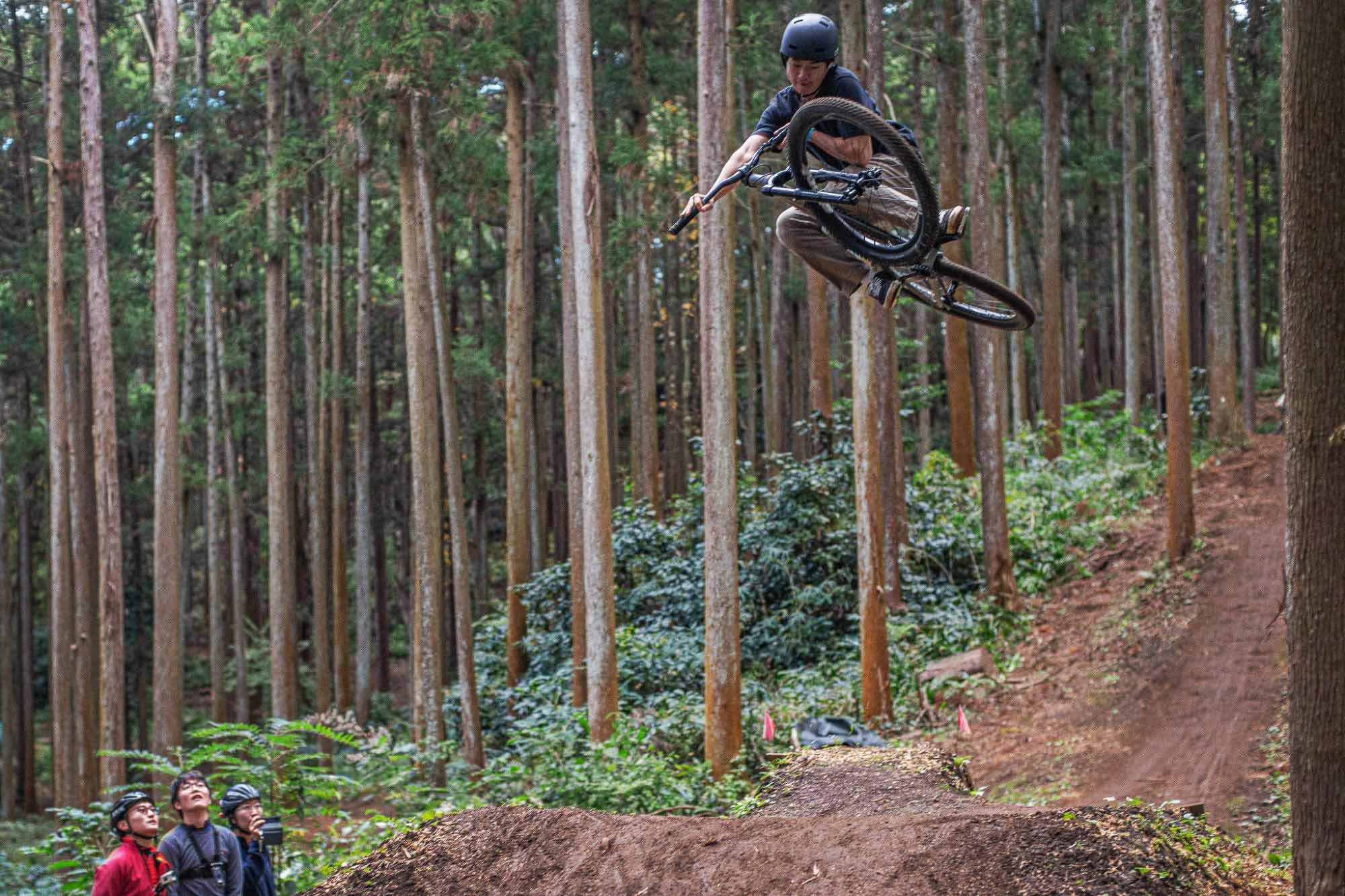 雷神トレイルの森道