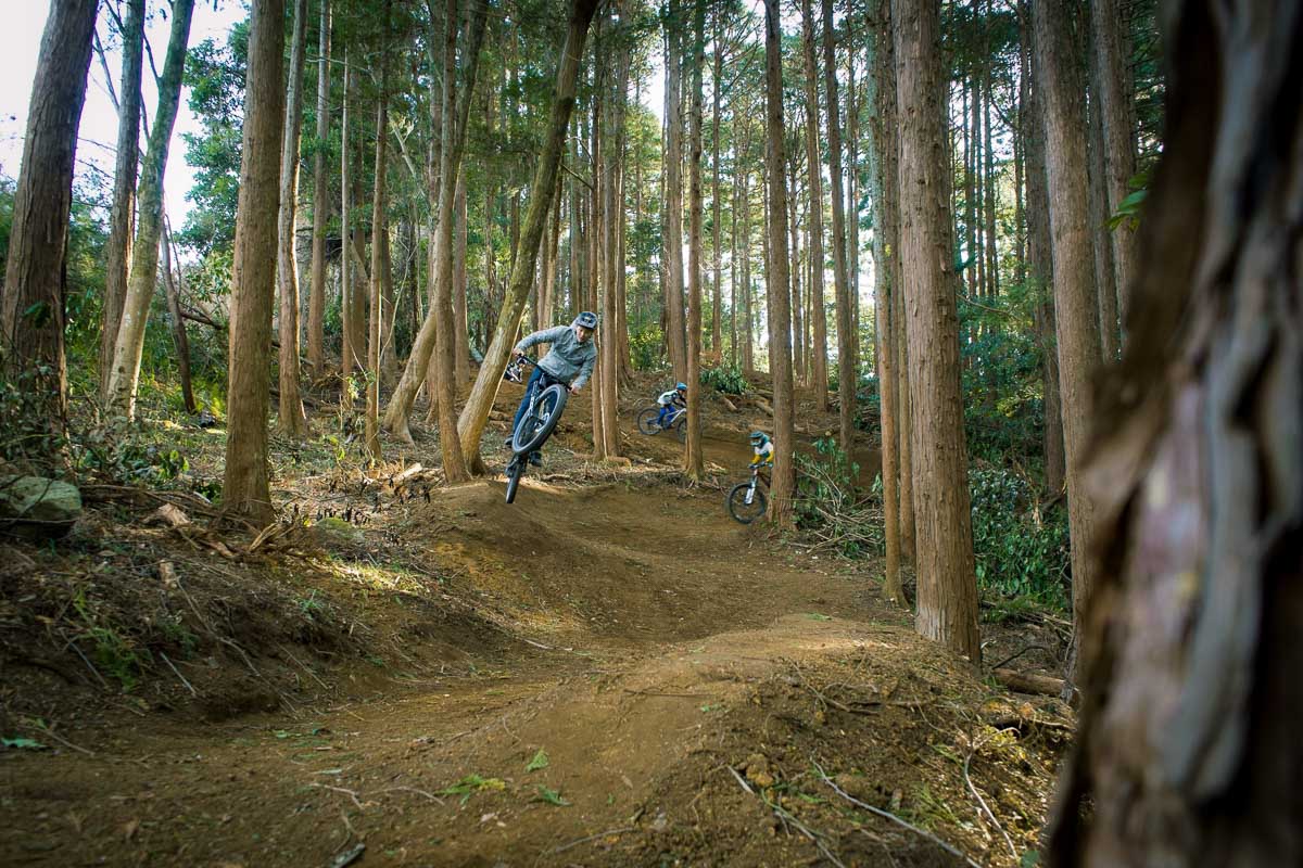 大樹の森トレイルを走るライダー